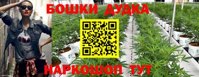 трава Партизанск
