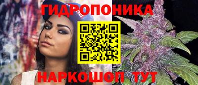 трава Партизанск