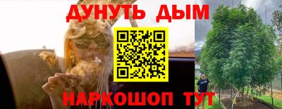 трава Партизанск
