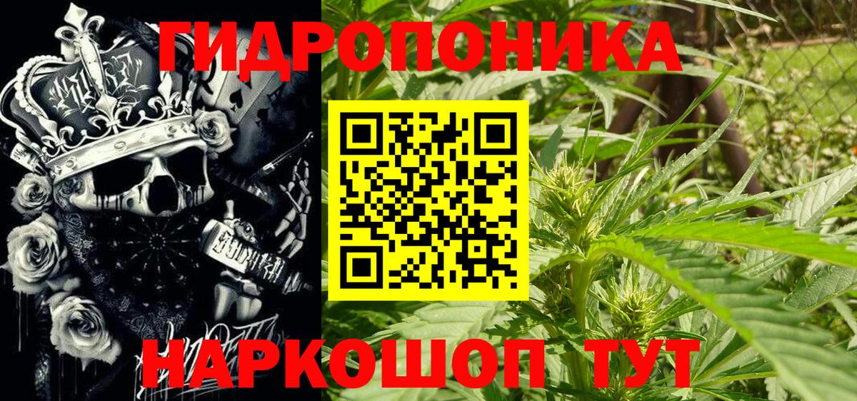 Каннабис MAZAR  Конопля индика  Вход с VPN  Новосибирск  Конопля план 